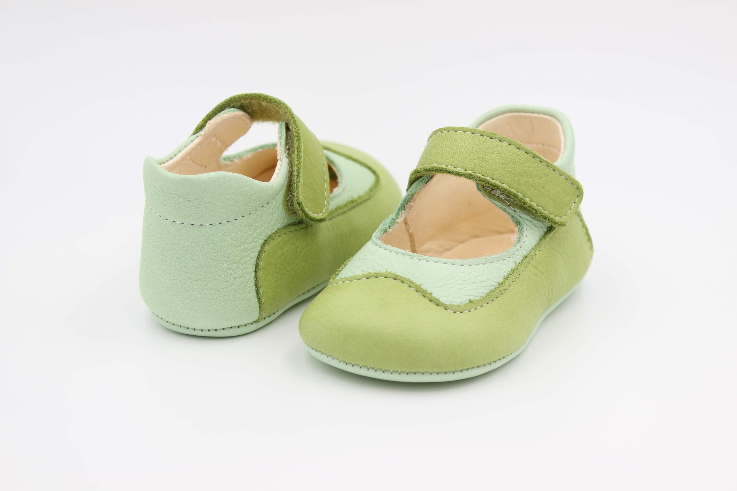 Life Verde 2 LIFE Pistachio & Verde - Imagen 1